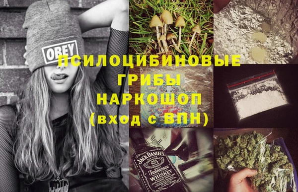 соль ск Осташков