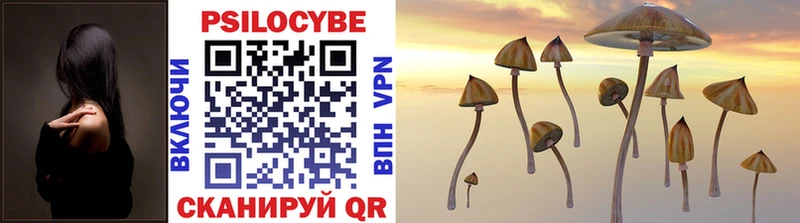 Галлюциногенные грибы MAGIC MUSHROOMS  Баксан 