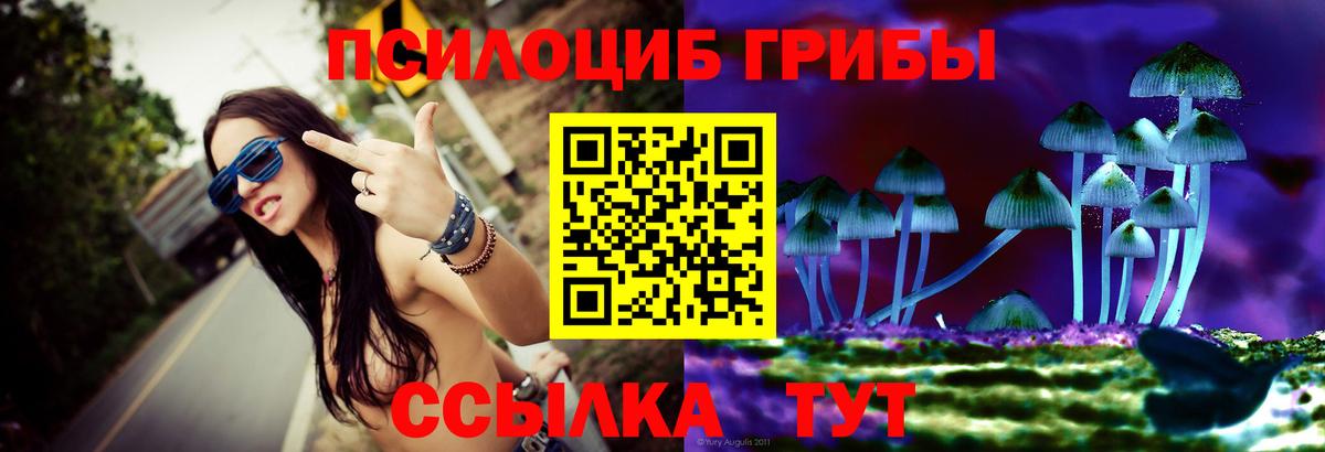 Псилоцибиновые грибы Cubensis  Вход с VPN  Баксан 