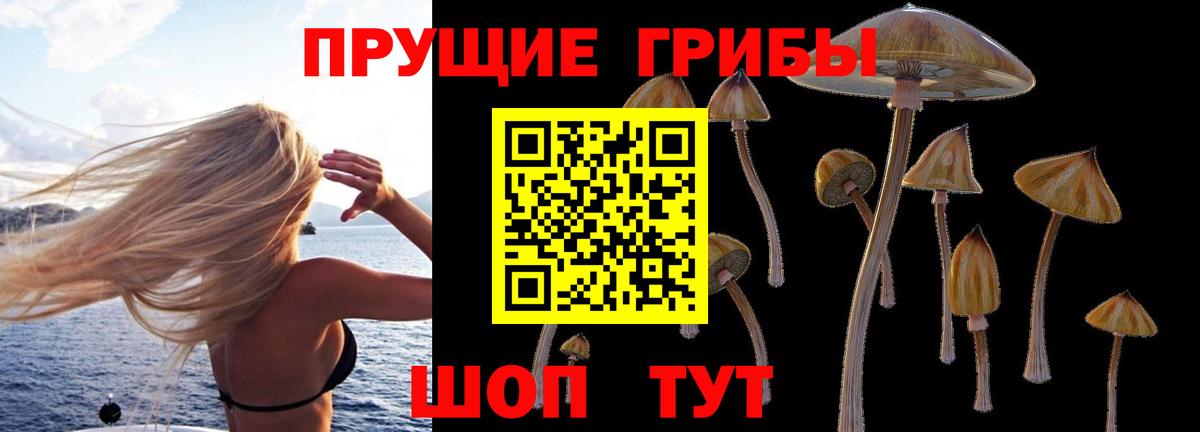 Псилоцибиновые грибы Magic Shrooms Баксан