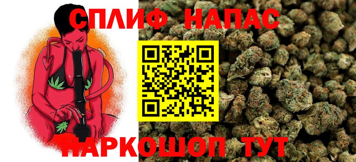 Бошки марихуана White Widow Баксан